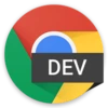 Chrome Dev 157.0.8092.0 Free Download For Window icon